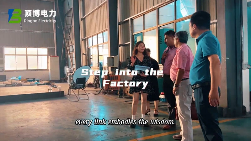 Африканские клиенты посетили фабрику Dingbo