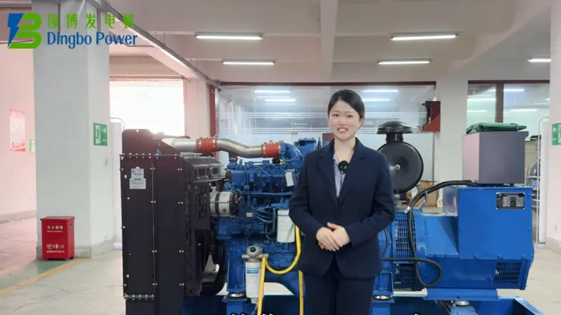 Как заправить дизельный генератор топливом, маслом и охлаждающей жидкостью