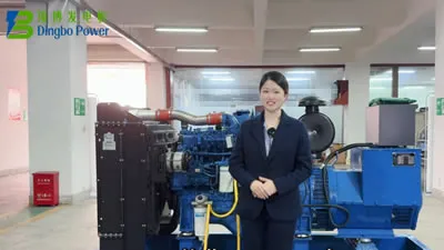 Как заправить дизельный генератор топливом, маслом и охлаждающей жидкостью